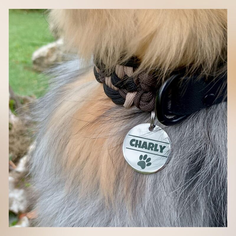 Edelstahl Hundemarke mit Gravur - ⌀25mm oder 30mm - Personalisiert mit Name, Motiv und Text - Runder Anhänger für Halsband als Tiermarke für Hunde und Katzen – Bild 2